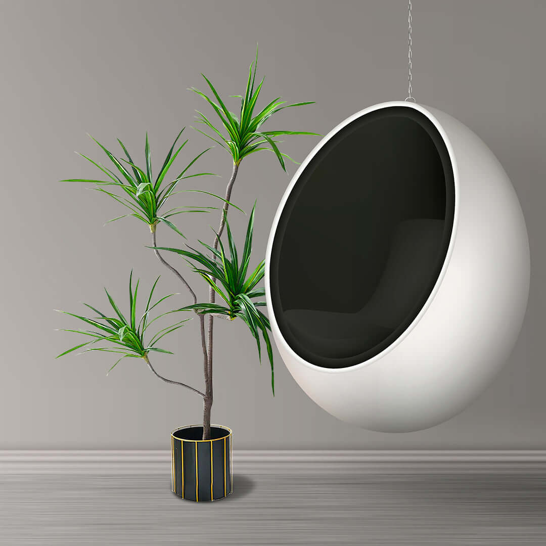 Modern white hanging chair and tall green potted plant in minimalist room showcasing affordable and quality value furniture.