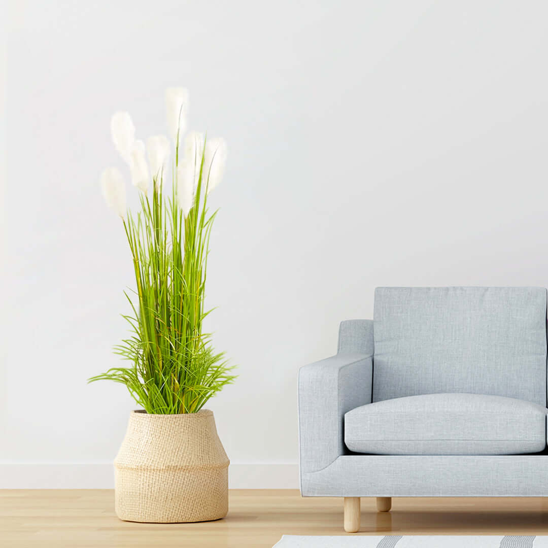 Modern living room with affordable quality homewares including a light grey sofa and a stylish plant in a woven basket showcasing value furniture.