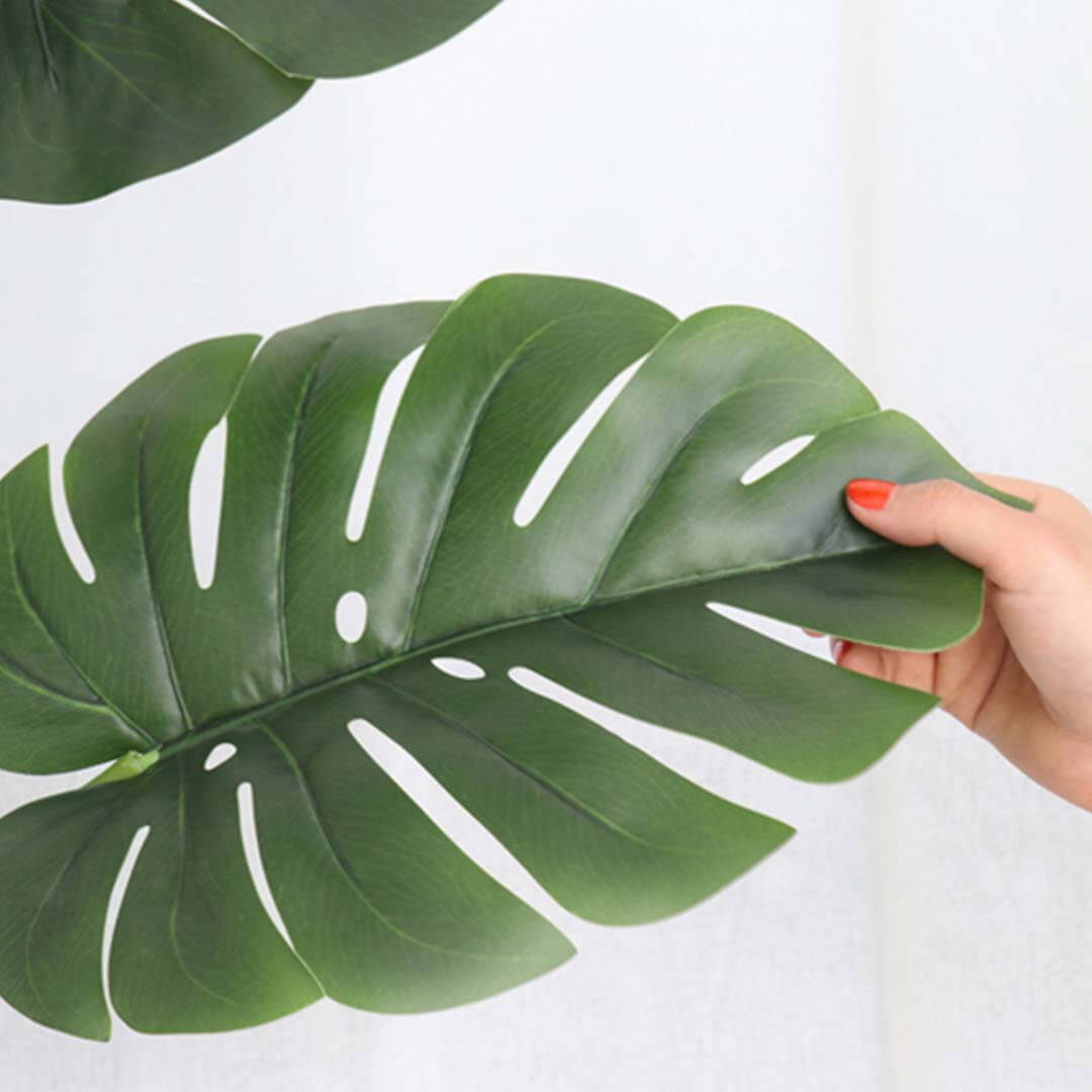 Hand holding a large green Monstera leaf, showcasing affordable quality homewares from value furniture collection.