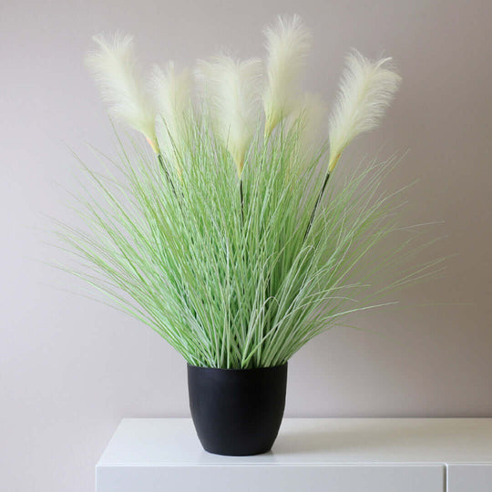 Affordable quality homewares, black pot with tall green grass on white value furniture.