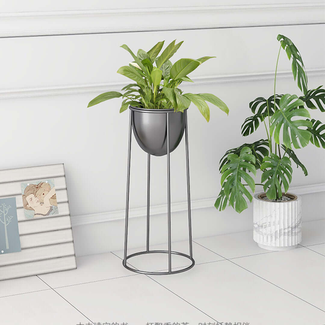 Affordable quality homewares featuring green plants in stylish planters providing value furniture and decor touch.