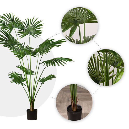 Affordable quality potted palm tree homeware detail emphasizing value furniture decor for homes.