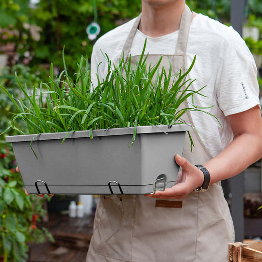 Person holding a grey planter box filled with green plants in a home garden.