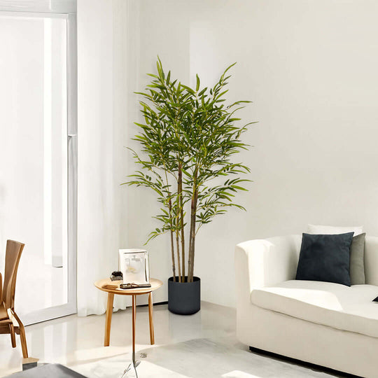 Affordable quality homewares - modern living room with a cozy sofa, stylish wooden table, and a green potted plant displaying value furniture decor.