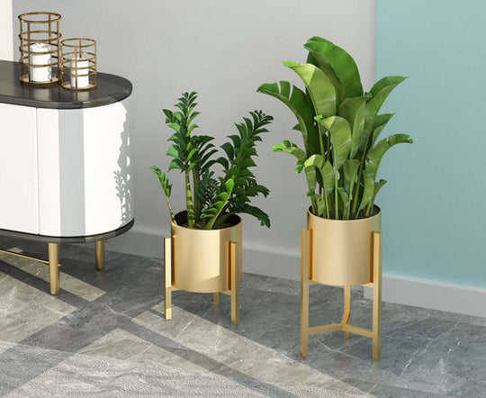 Modern home interior with quality value furniture featuring gold planters and green plants, affordable homewares enhancing decor.