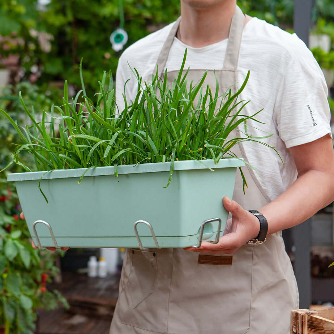 Person holding a green planter box filled with long, green grass in a garden setting