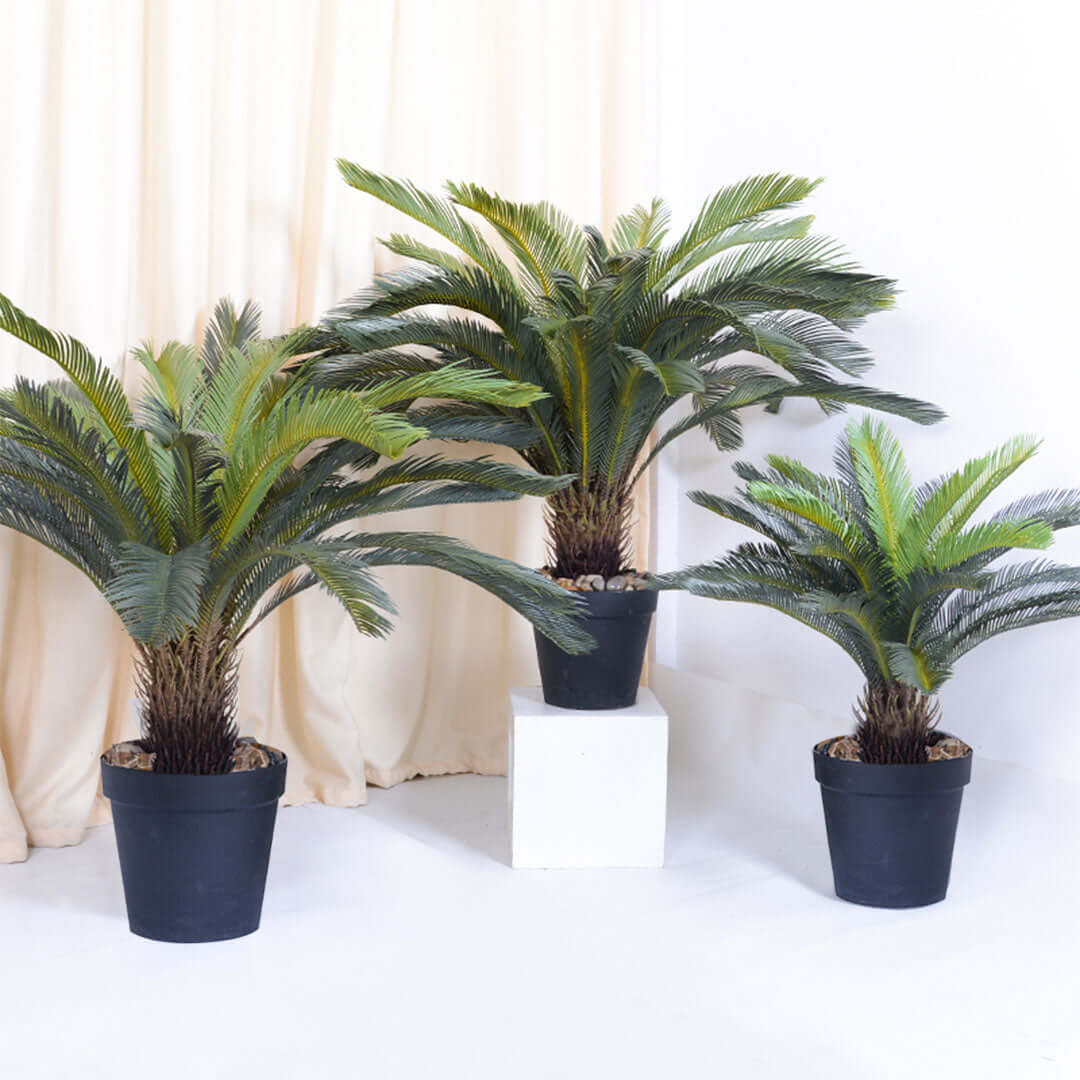 Three potted artificial palm trees in black containers displayed against a beige curtain background for affordable, quality homewares and value furniture.