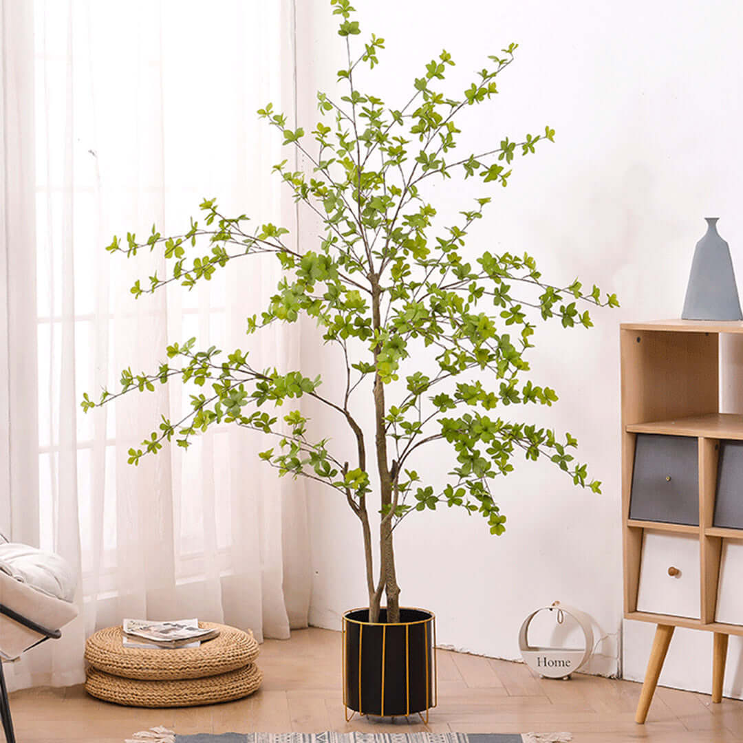 Modern affordable homewares - quality and value furniture including stylish indoor plant decoration in living room.