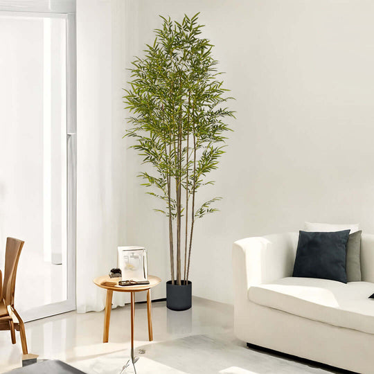 Affordable quality homewares and value furniture in a modern living room, featuring a tall potted plant, cozy white sofa, and wooden side table.