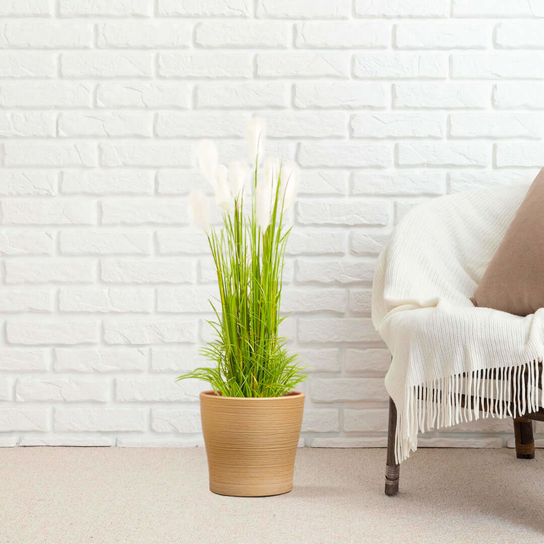 Elegant affordable homewares - quality plant in a pot next to value furniture against a white brick wall for stylish living spaces.