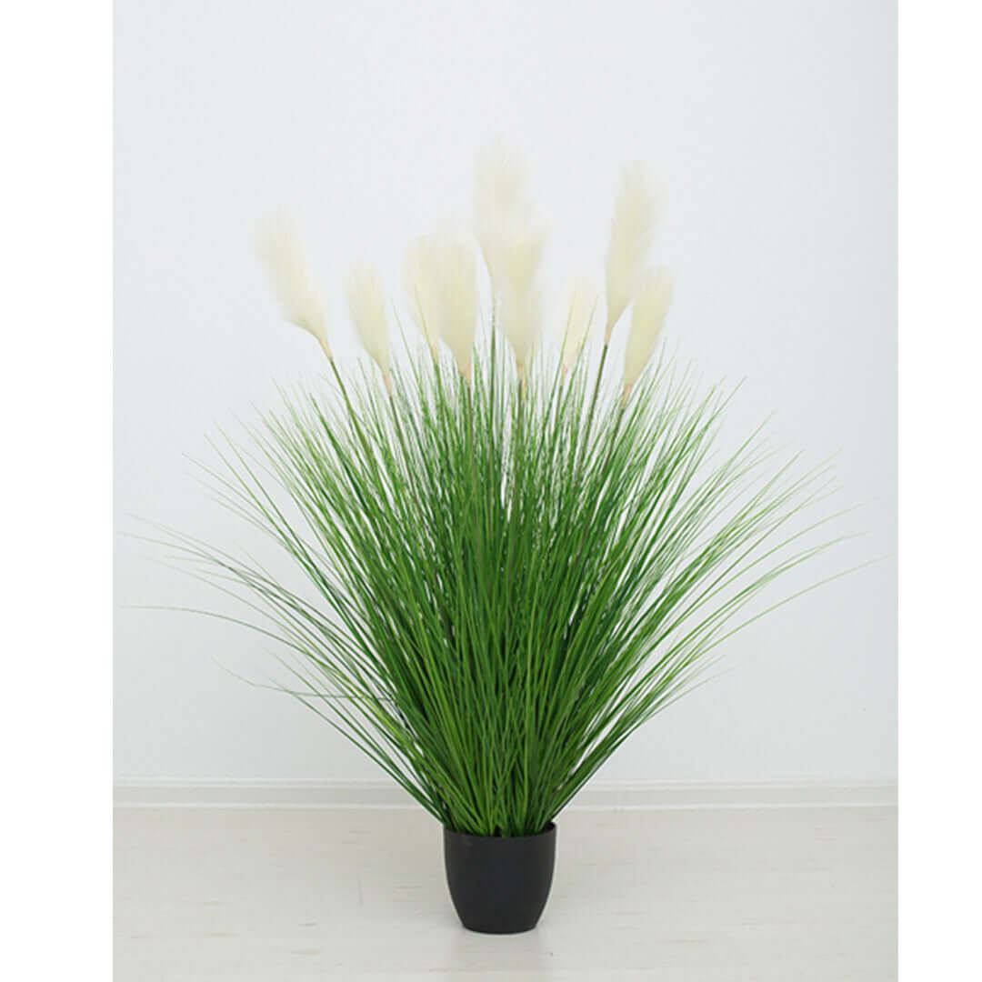 Potted artificial grass plant with white feathery plumes in black pot; affordable homewares and quality value furniture decor