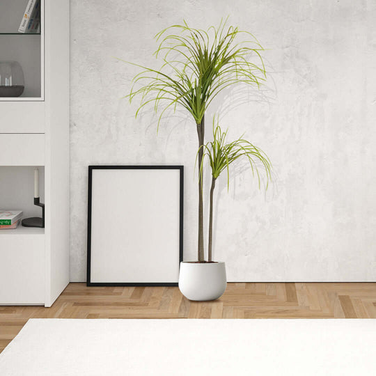 Affordable and quality homewares: modern potted plant and minimalistic frame next to white shelf on wooden floor.