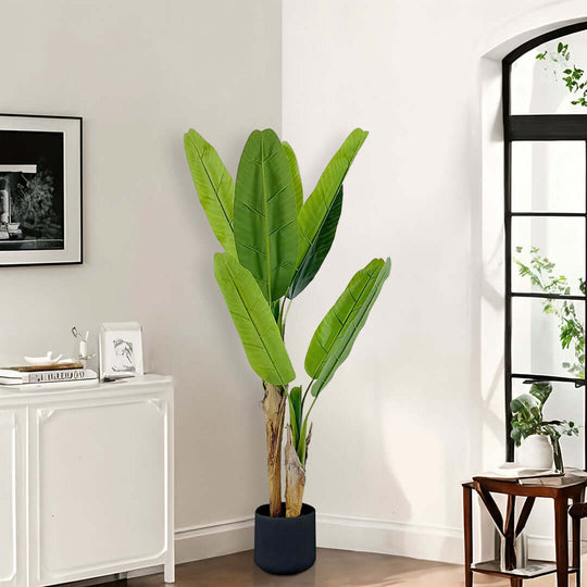 Affordable quality homewares - decorative green plant beside white cabinet and window, enhancing the value of furniture and interior decor.