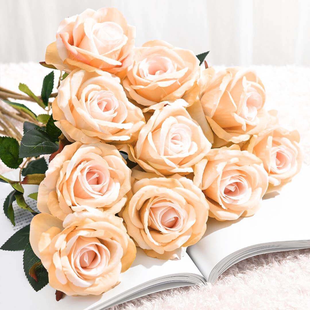 Bouquet of soft peach roses placed on an open book with white background.