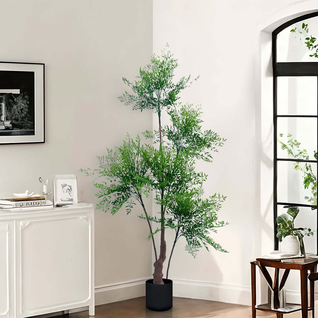 Affordable quality homewares showcasing a lush green indoor plant in a stylish, modern living room corner with value furniture.