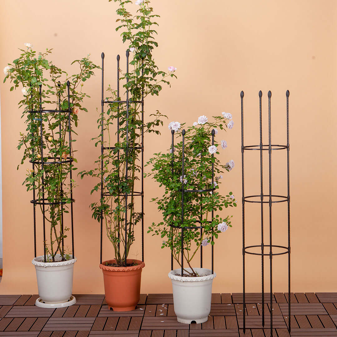 Affordable homewares - quality metal plant stands for supporting potted plants and enhancing value furniture and decor.