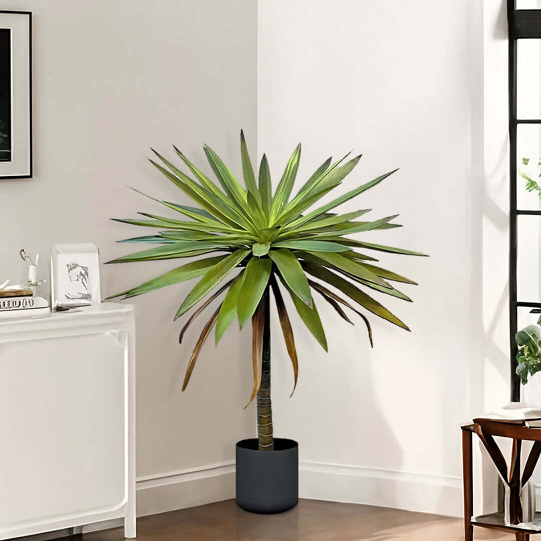 Affordable quality homewares - artificial palm tree in stylish indoor setting showcasing value furniture.