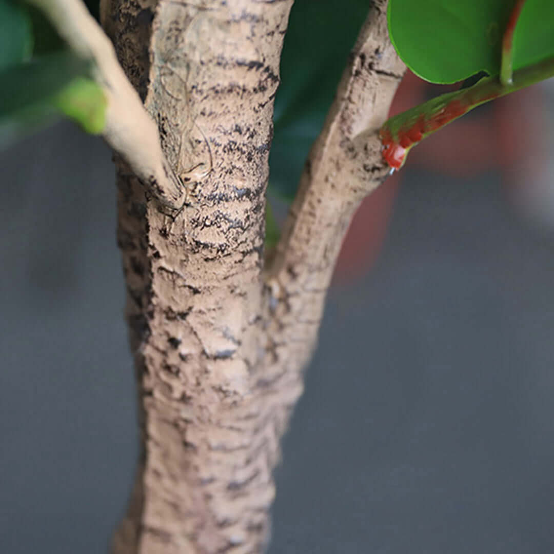 Close-up of a tree trunk with green leaves, showcasing affordable homewares and quality value furniture elements.