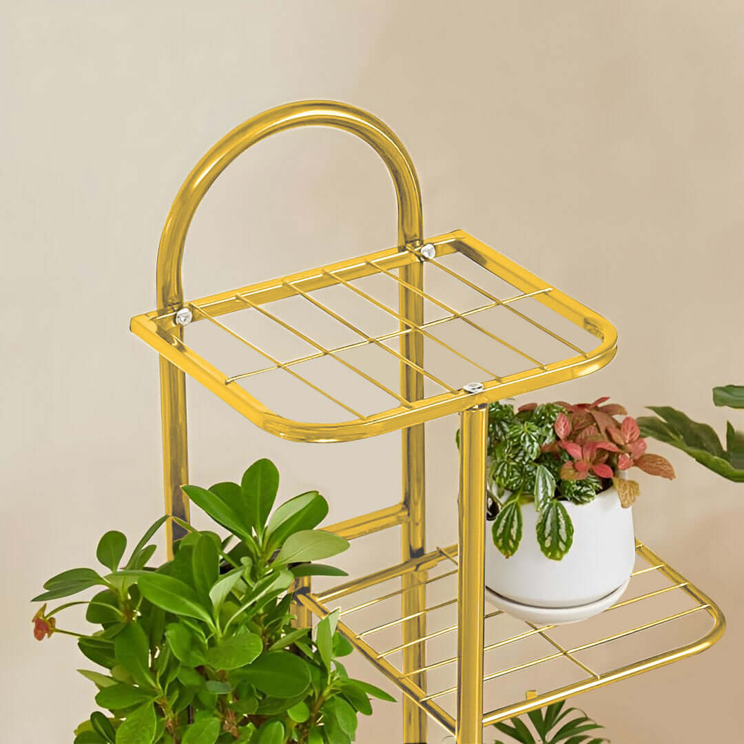 Stylish affordable gold metal plant stand with lush green plants and a potted plant, showcasing quality homewares and value furniture.