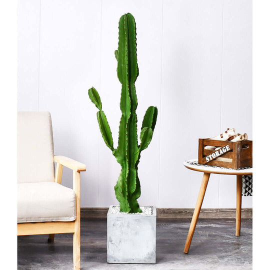 Affordable quality homewares with a tall green cactus in a concrete pot, next to a beige chair and a circular table for value furniture.