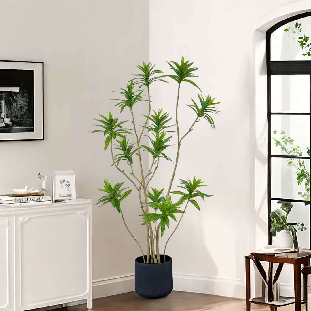 Tall indoor plant in a modern black pot placed in a stylish living room, next to a white cabinet and large window, enhancing home decor.