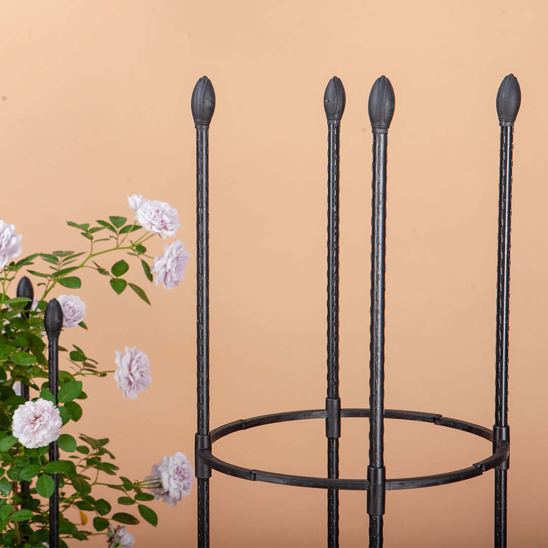 Affordable quality homewares - stylish, durable plant support trellis next to blooming roses for value furniture and garden decor