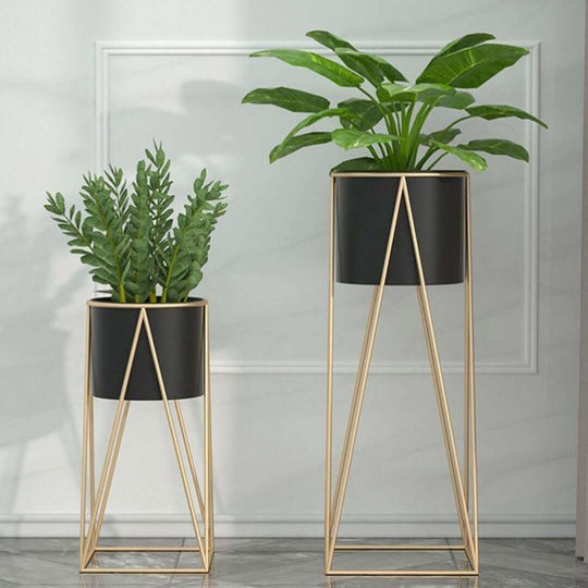 Elegant black and gold planters with green plants, showcasing affordable, quality homewares and value furniture.