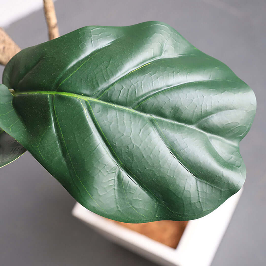 Close-up view of a green leaf from a potted plant in a white square pot.