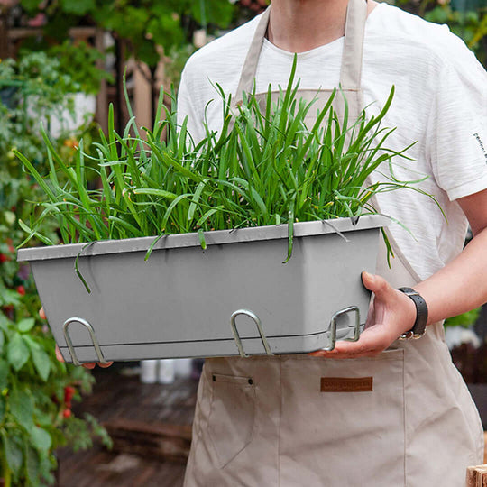 Person holding a planter box with green plants in a garden setting.