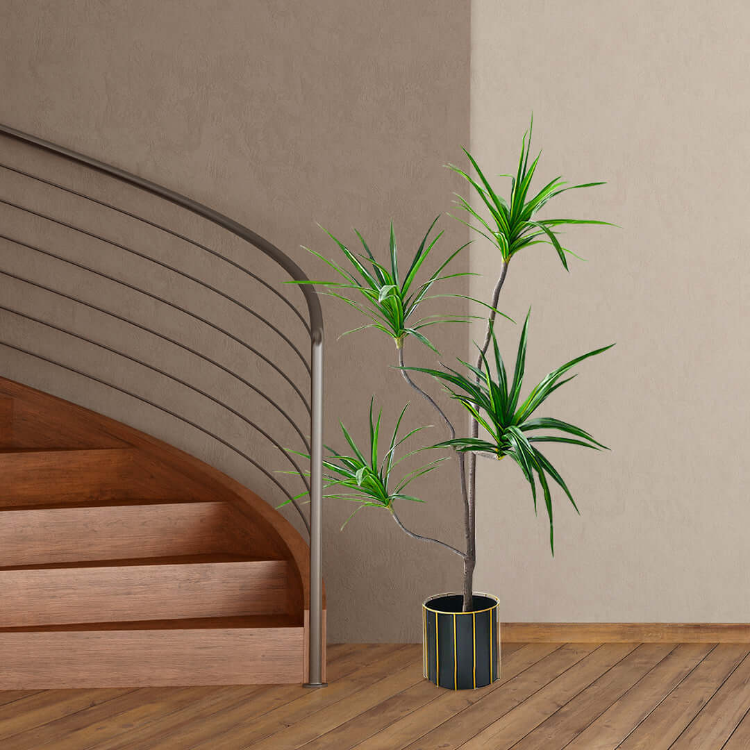 Affordable quality homewares - stylish dracaena plant in black and gold pot beside modern wooden staircase for added value furniture.