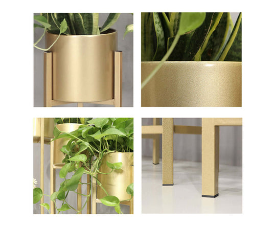 Affordable quality homewares - close-up of golden plant stands with green plants showing value furniture.