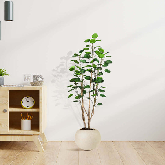 Stylish modern home setting with a lush indoor plant in a white pot, adjacent to a wooden shelf unit with homewares - affordable, quality, value furniture