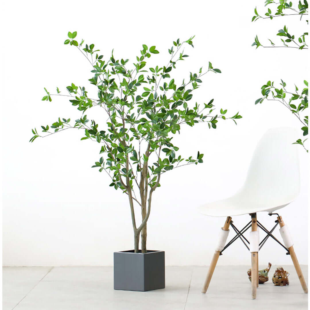 Affordable quality homewares featuring a value furniture white chair beside a potted plant with vibrant green leaves