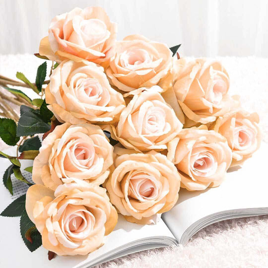 Pale peach roses bouquet displayed on open book in light setting