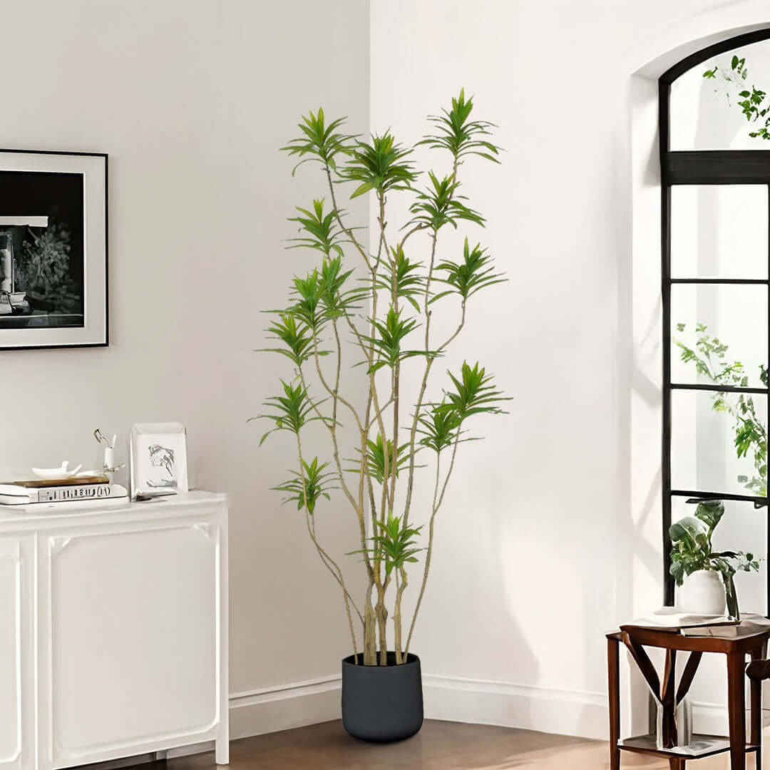 Stylish home interior with affordable and quality furniture, showcasing a potted plant enhancing the value of homewares.