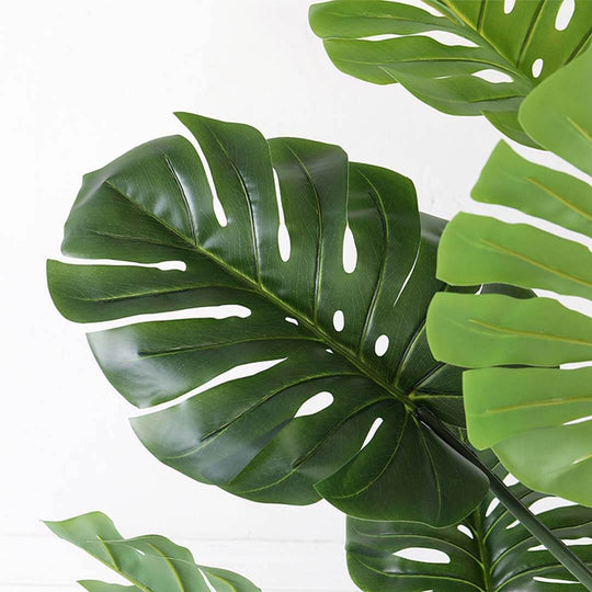 Close-up of vibrant green tropical monstera leaves, perfect for affordable homewares and adding quality value to your furniture decor.