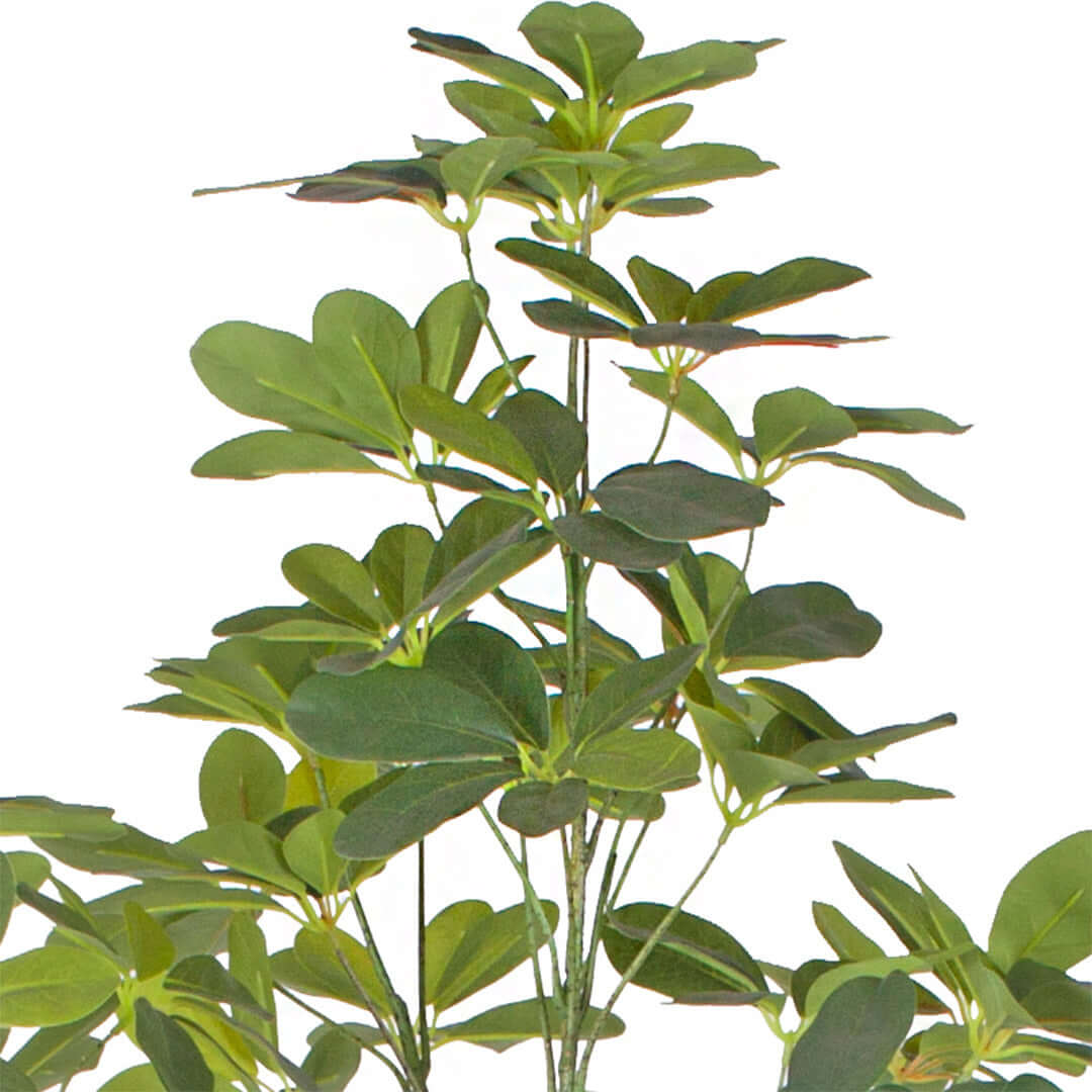 Lush green foliage of a quality artificial plant, ideal for affordable homewares and adding value to interior decor.