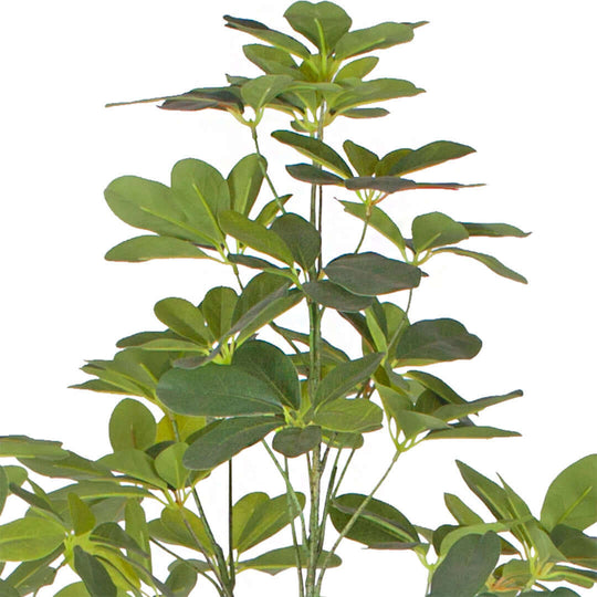 Lush green foliage of a quality artificial plant, ideal for affordable homewares and adding value to interior decor.