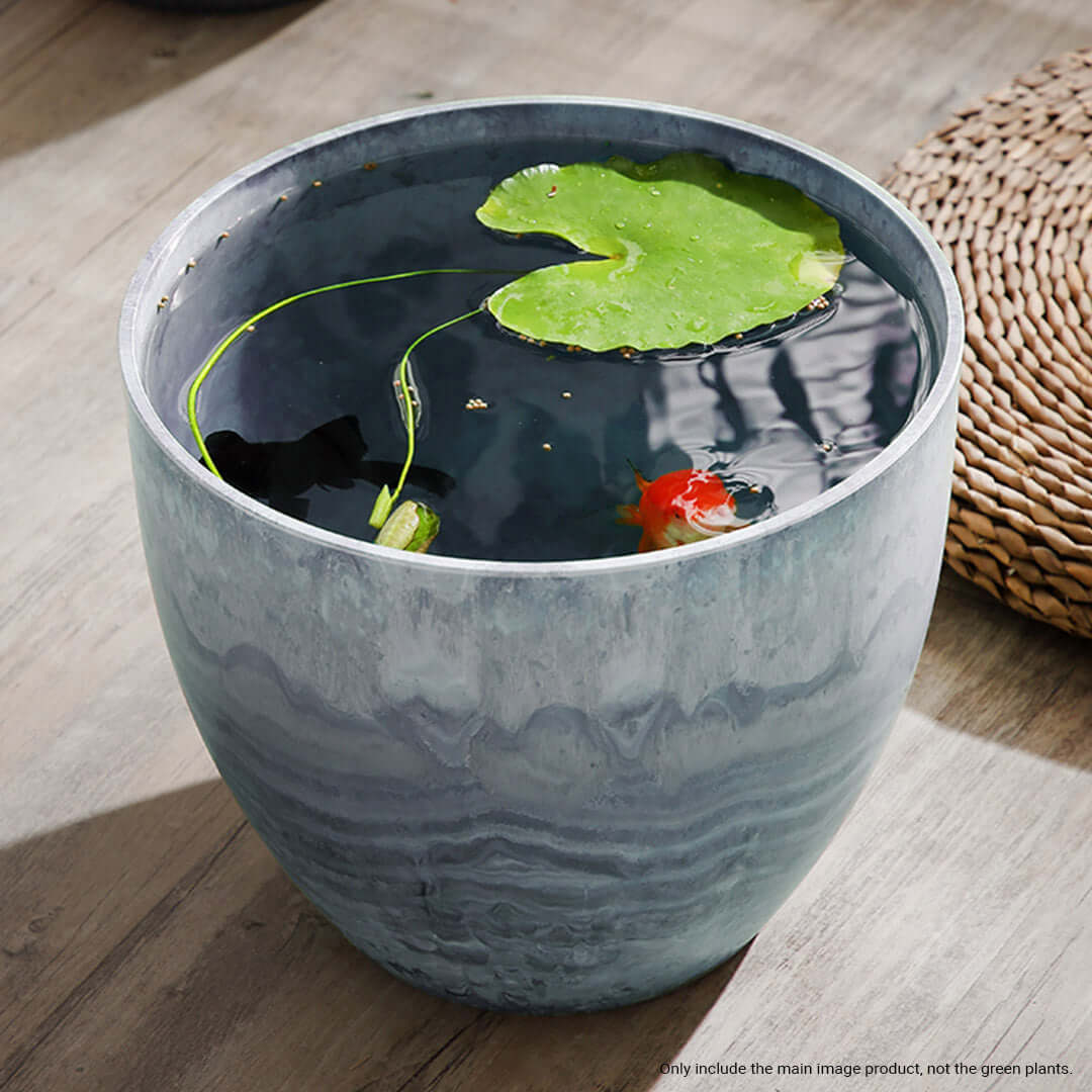 Affordable quality homewares - elegant ceramic water bowl with floating green plants - value furniture for stylish interiors.