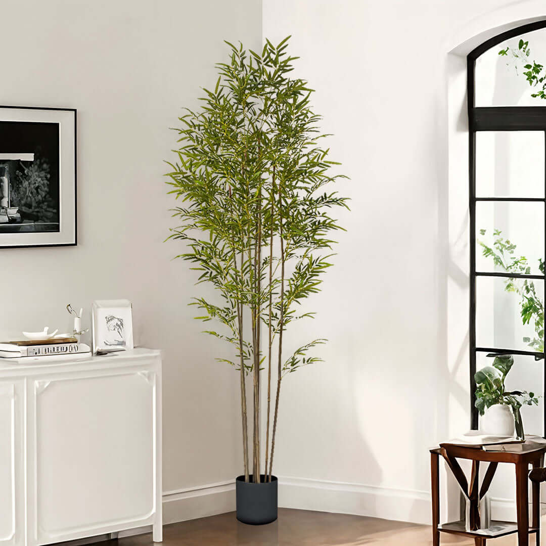 Affordable homewares - quality artificial bamboo plant in modern living room for value furniture decor.