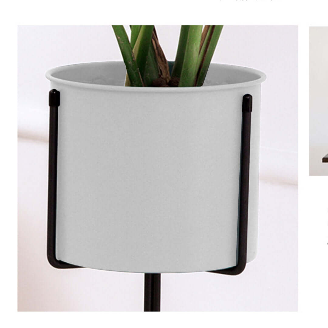 Affordable modern plant pot with black stand, perfect for home decor and value furniture setups