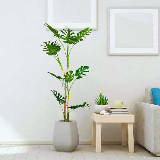 Affordable quality value homewares furniture featuring a stylish, modern indoor plant in a gray pot beside a beige side table in a well-lit room.