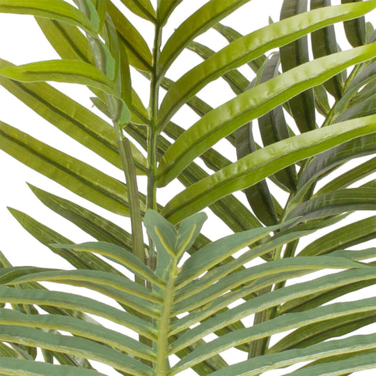 Close-up of vibrant green palm fronds offering an affordable touch of quality homewares and value furniture decor.