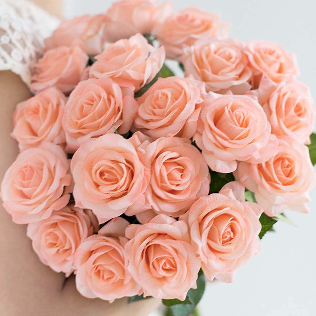 Beautiful bouquet of peach roses held against a soft background.