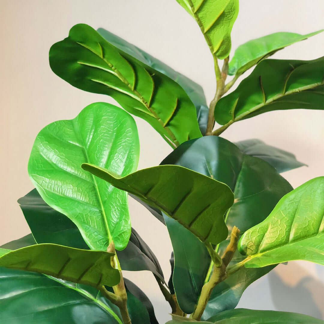 Artificial fiddle leaf fig plant with vibrant green leaves for affordable homewares, quality decor, and value furniture enhancement