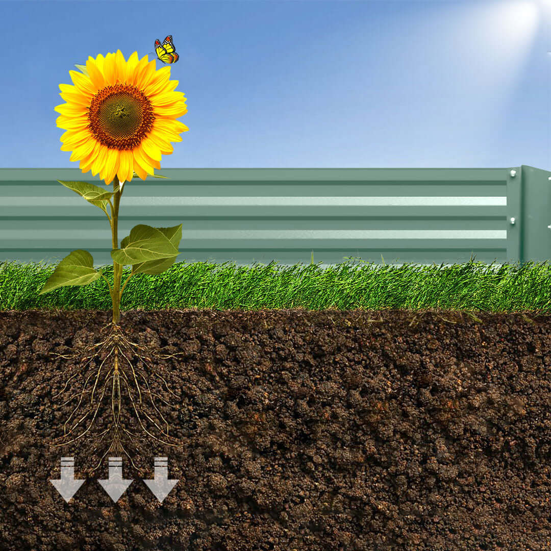 Sunflower with roots growing in soil, highlighting proper drainage with downward arrows, under a clear sky near a metal fence.