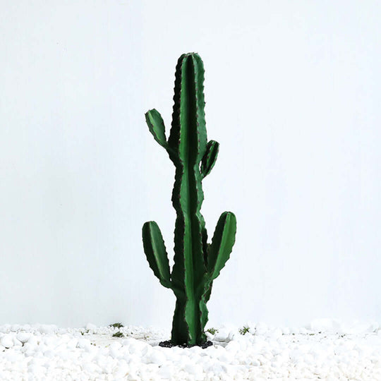 Tall green cactus plant in a bed of white rocks against a plain background.