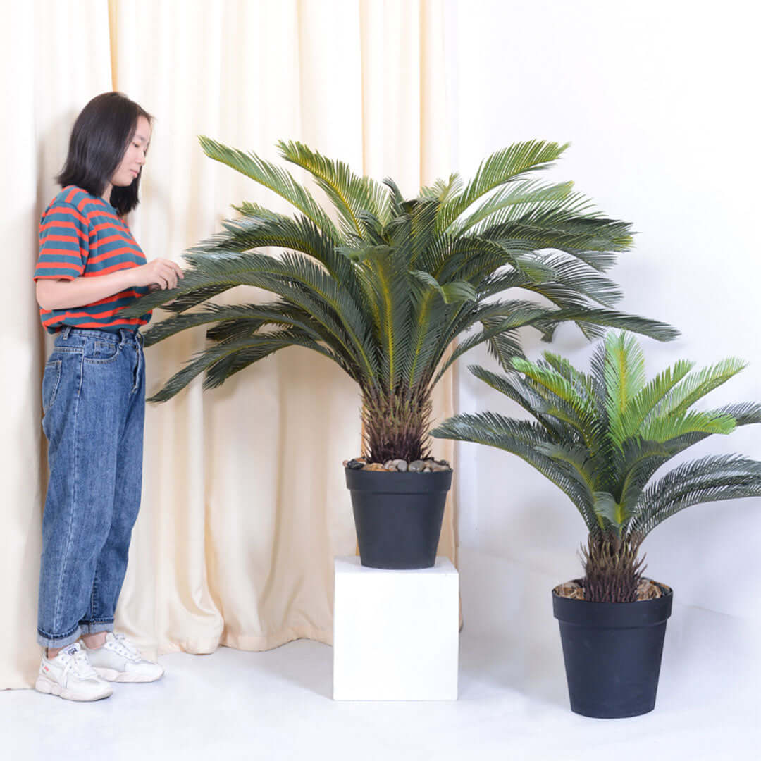 Woman arranging indoor plants in black pots, affordable homewares and quality value furniture items in background