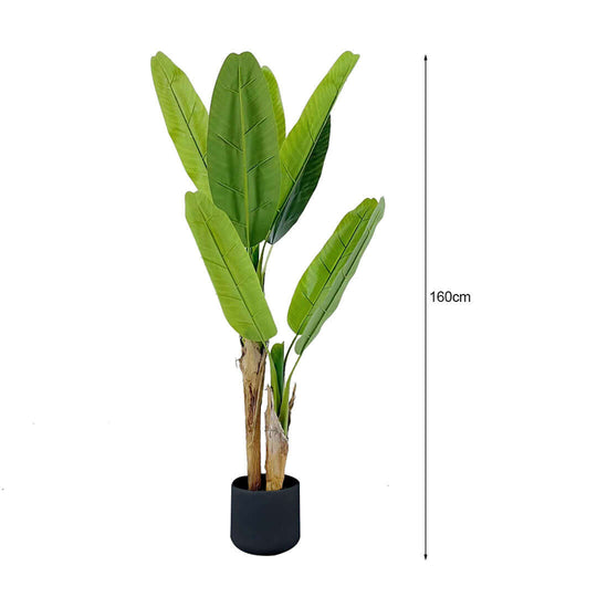 Realistic 160cm artificial banana plant in black pot, perfect for affordable quality homewares, adding value to your furniture decor.