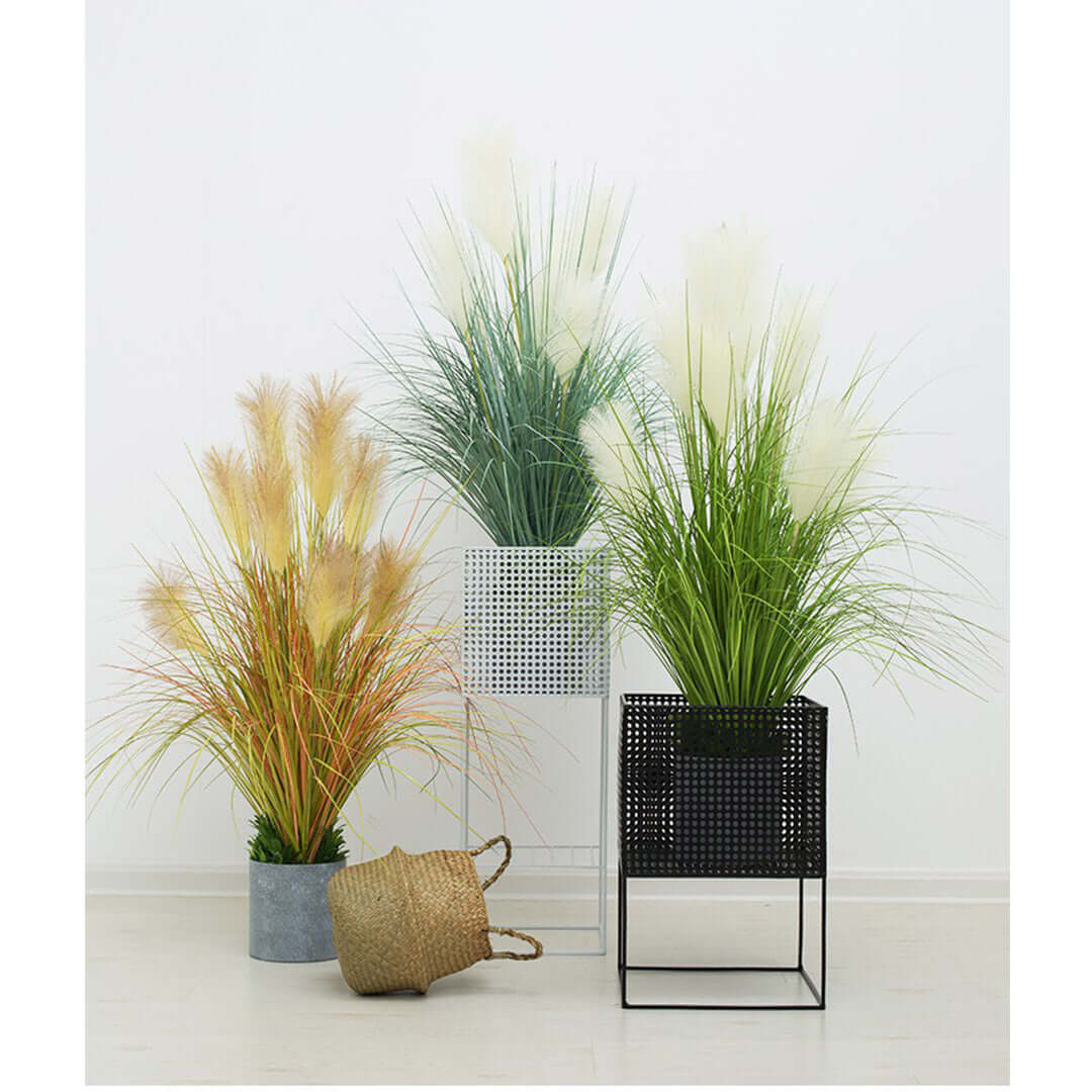 Modern affordable homewares featuring quality potted plants in stylish planters showcasing value furniture and decor.